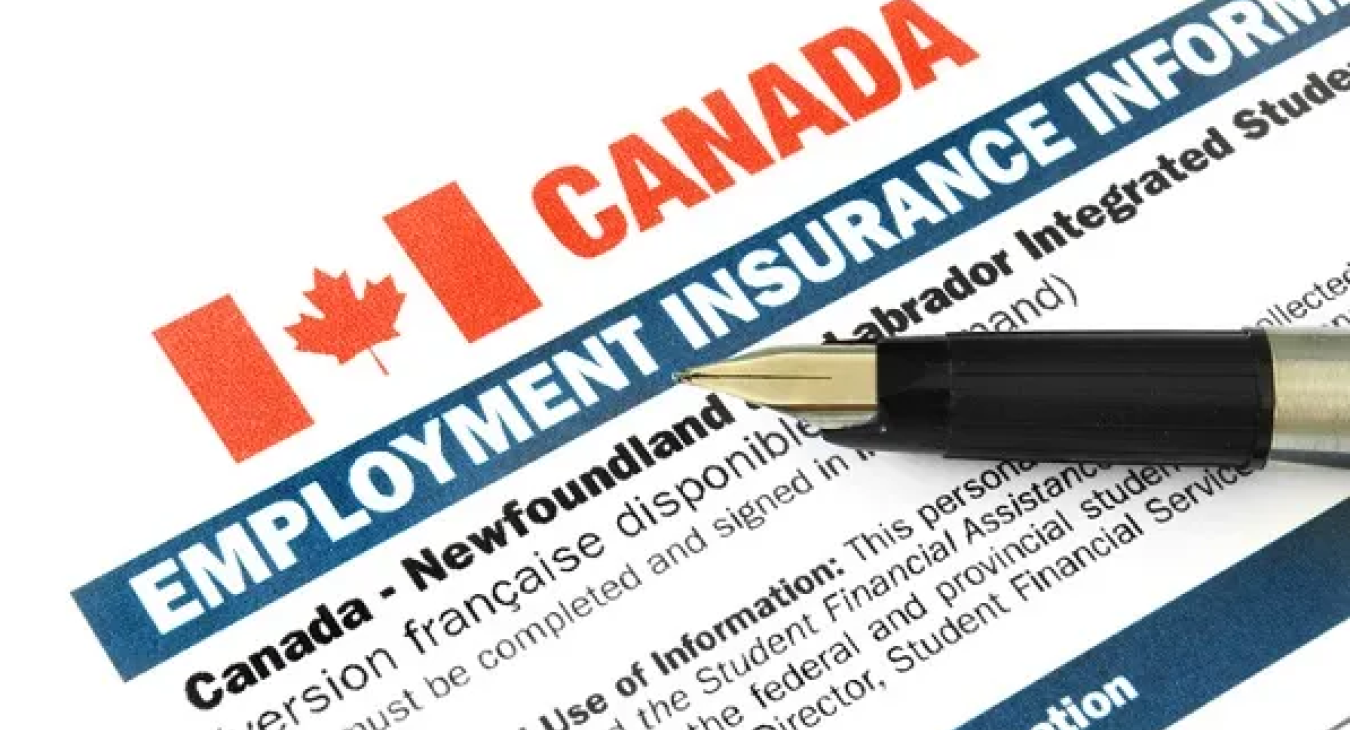 Employment Insurance