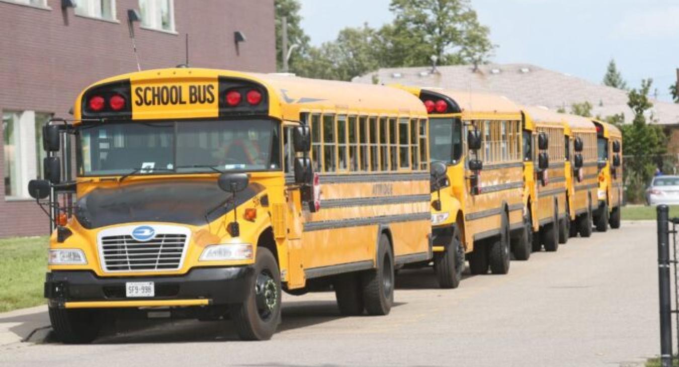 School buses